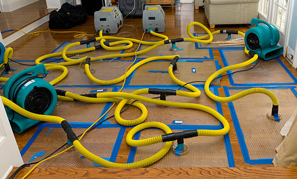 Professional Sewage Cleanup technician working in Churchville, MD